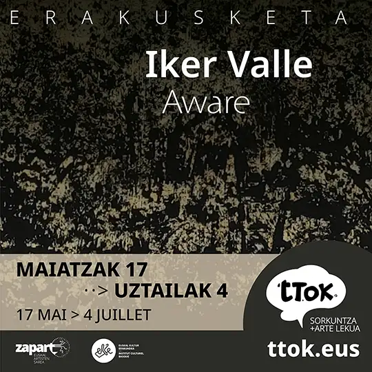 Iker Valle | Aware